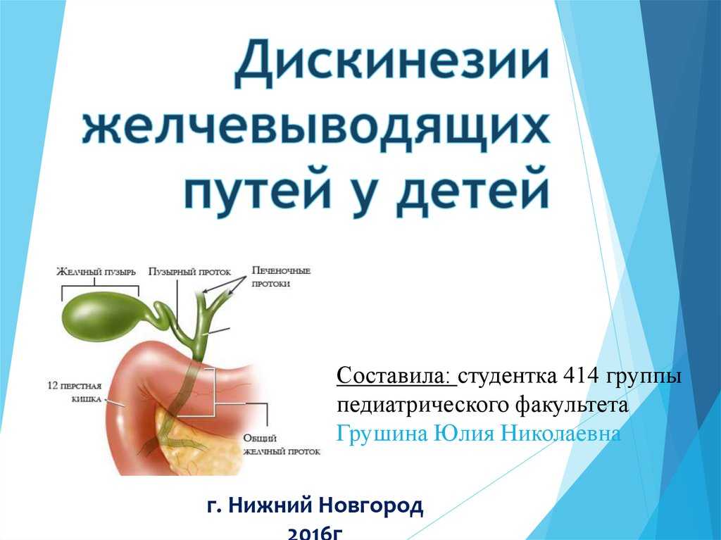Колоказия съедобная - colocasia esculenta - klassdis.ru