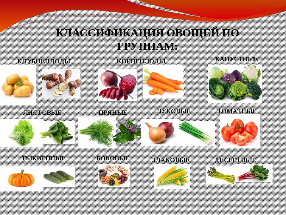 Классификация овощных культур