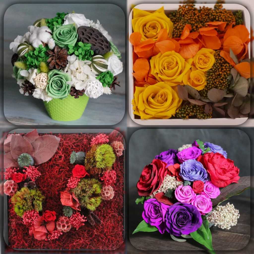 Интернет-магазин presevedflowers.ru — стабилизированные цветы и растения со всего мира от поставщика — компании особые цветы: