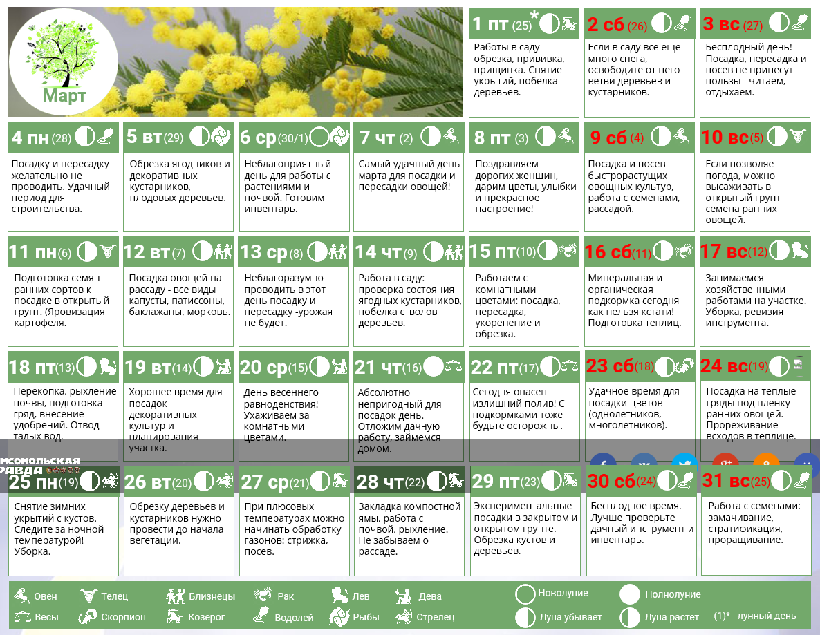 Пересадка комнатных растений по лунному календарю в 2021 году: расчет благоприятных дней для пересадки домашних цветов