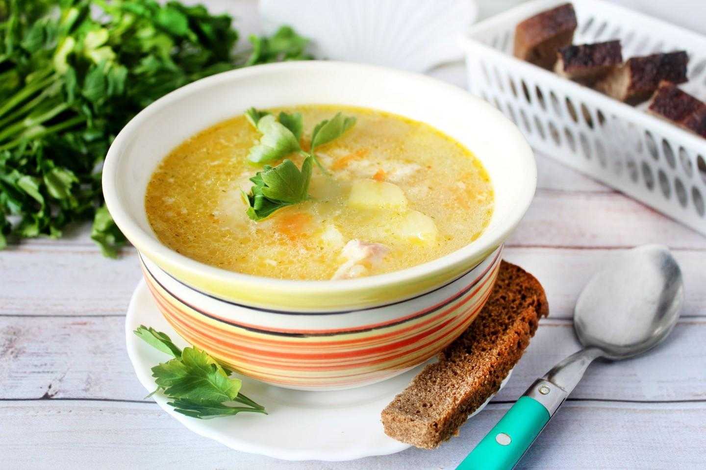 Какие супы можно кушать при подагре: рецепты вкусных блюд