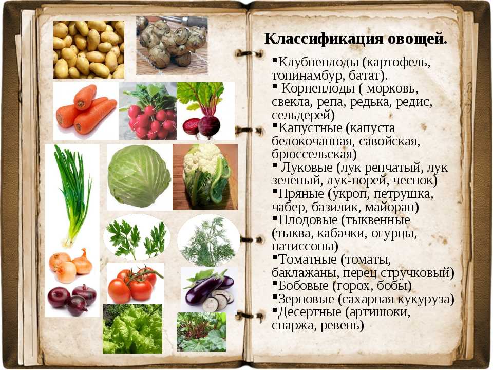Корнеплоды: что это такое, список овощей, виды растений
