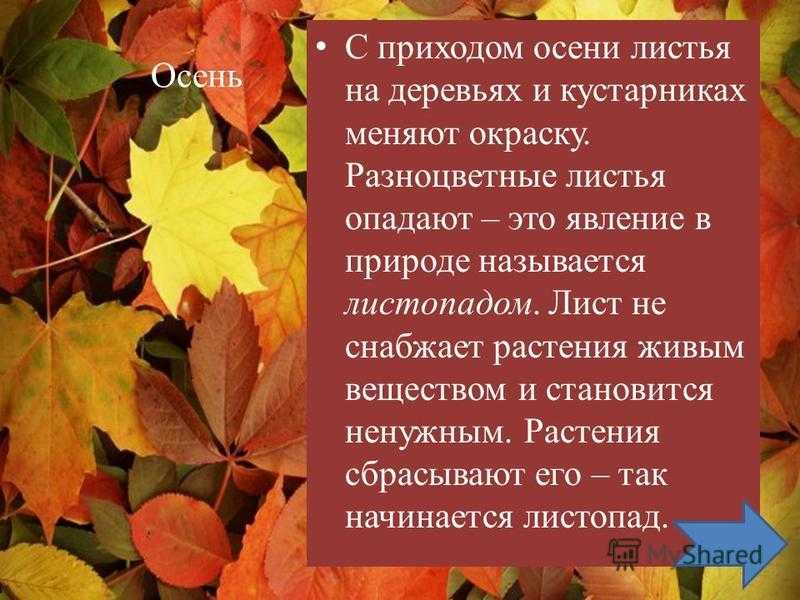 Чего не хватает растению. дефицит и переизбыток минеральных элементов  | wikibotanika.ru