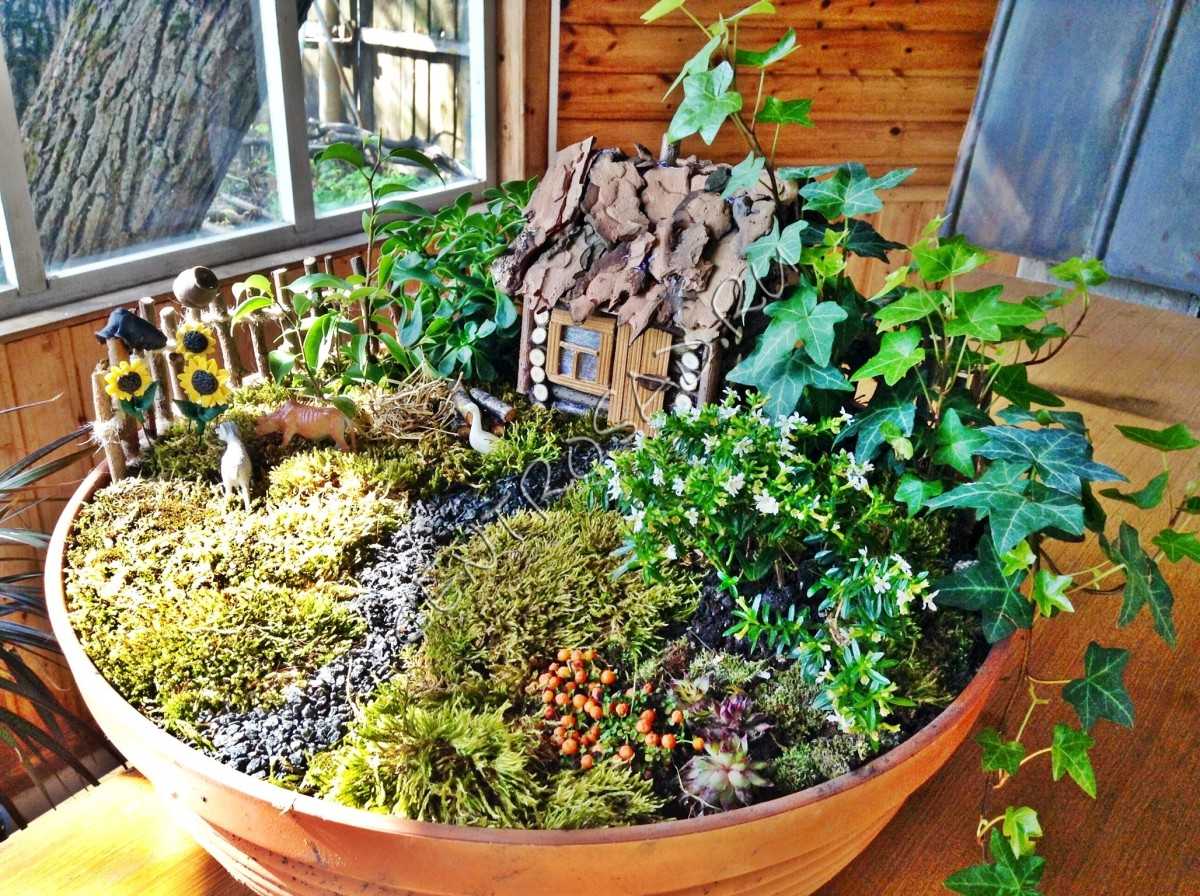 Как сделать мини-сад в цветочном горшке своими руками