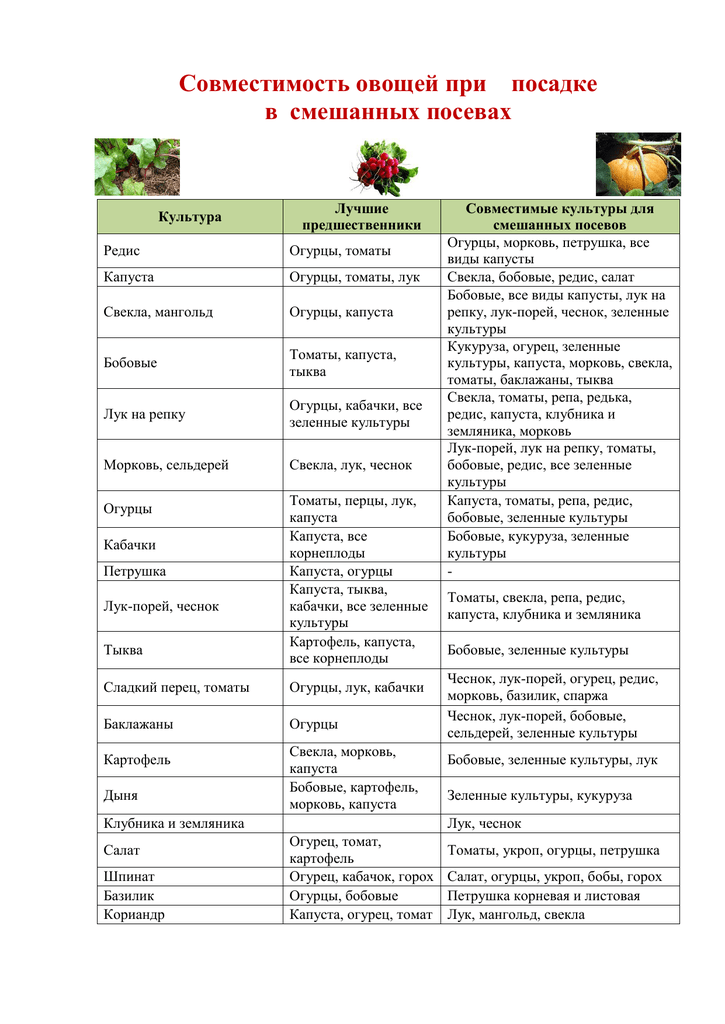 Особенности выращивания зеленных культур