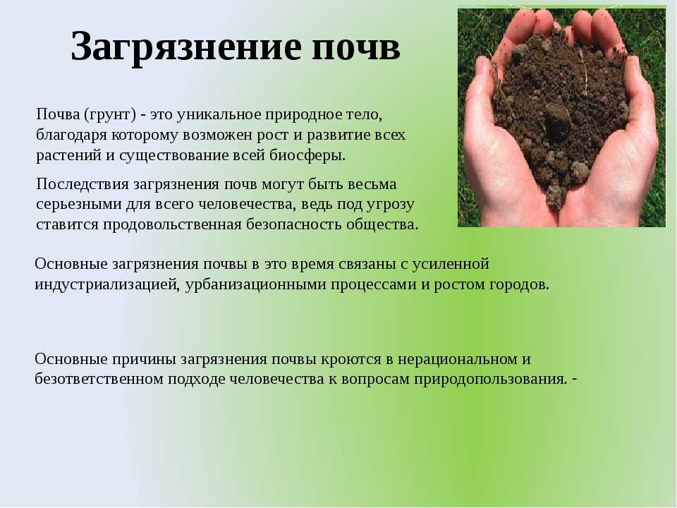 Заметки садовода: как определить что почва в огороде истощена